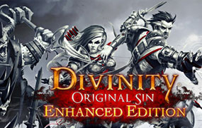 神界：原罪加强版/Divinity: Original Sin