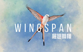 展翅翱翔/WINGSPAN